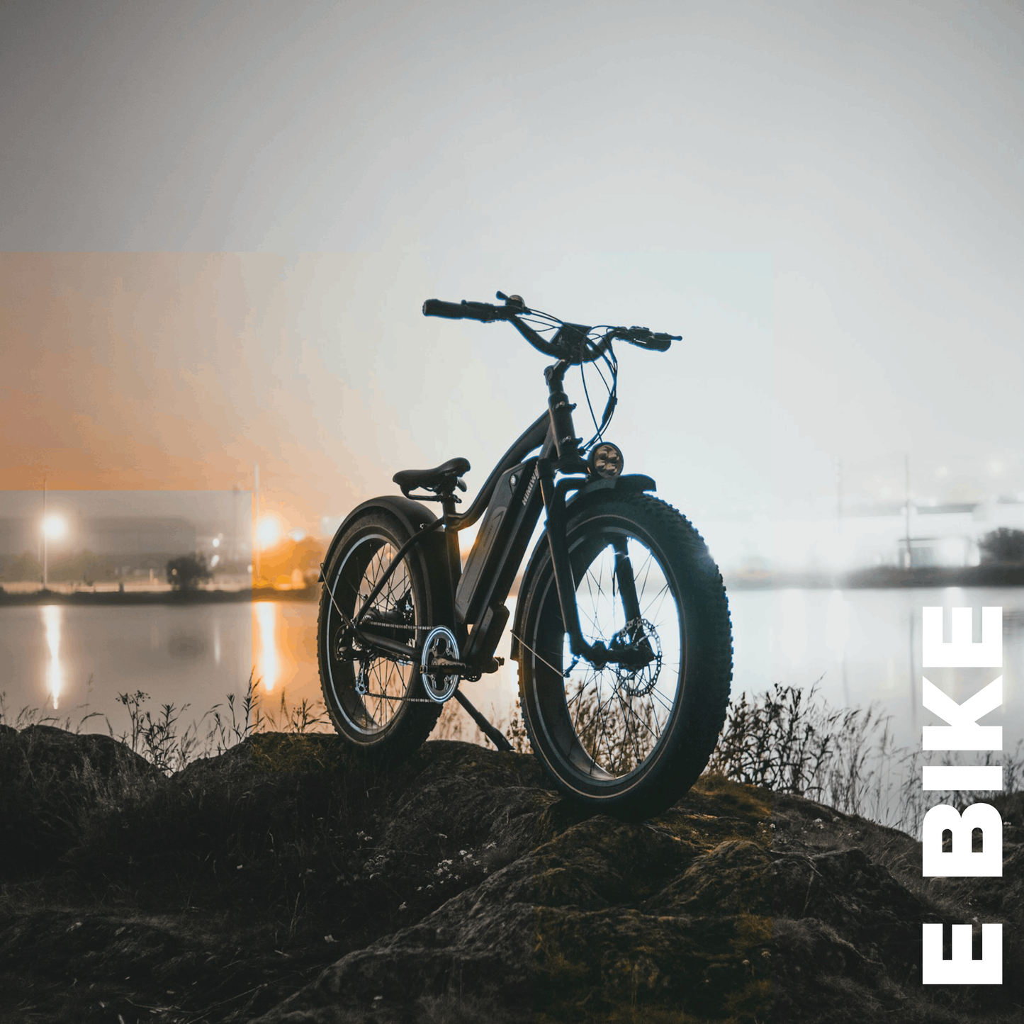E-Bike Flight Risk