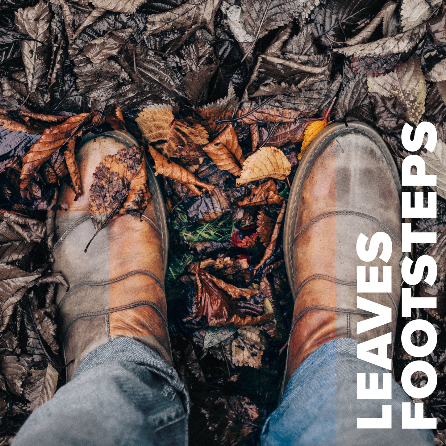 Footsteps - Leaves & Grass